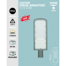 100W SOKAK ARMATÜRÜ BEYAZ